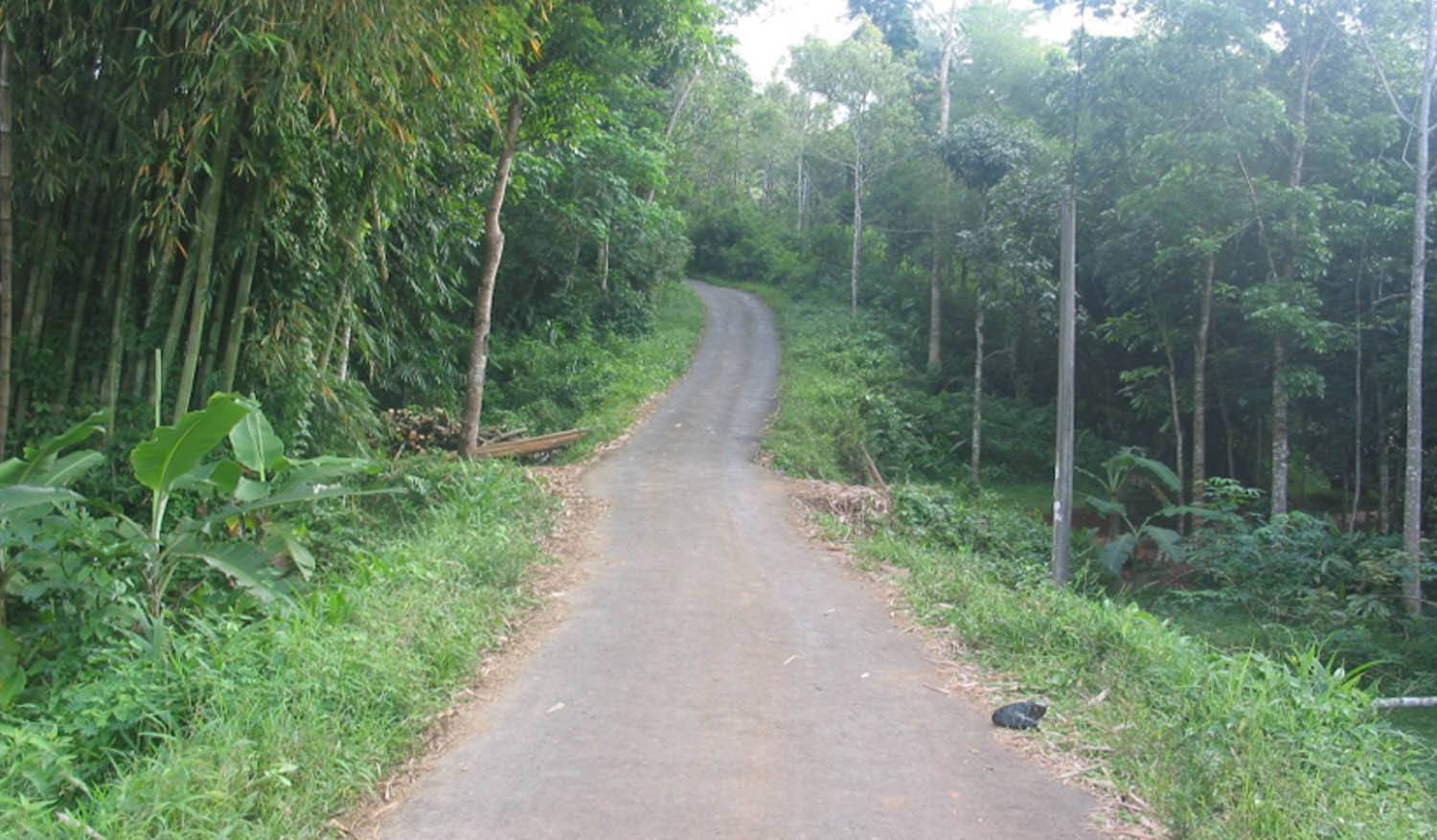 Jalan desa di Kabupaten Ciamis menggunakan Butur Seal